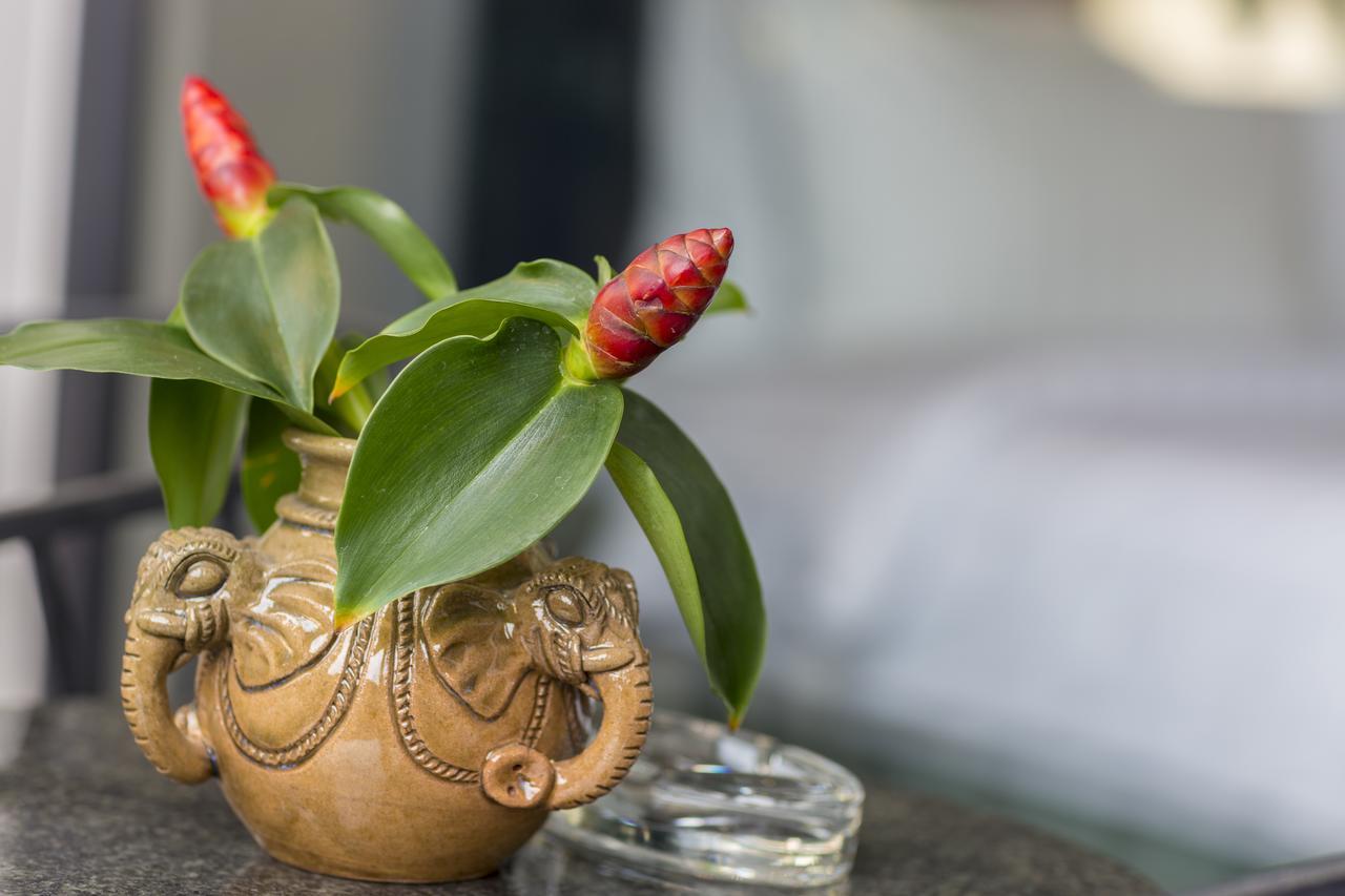 Elia Boutique Hotel Siem Reap Dış mekan fotoğraf
